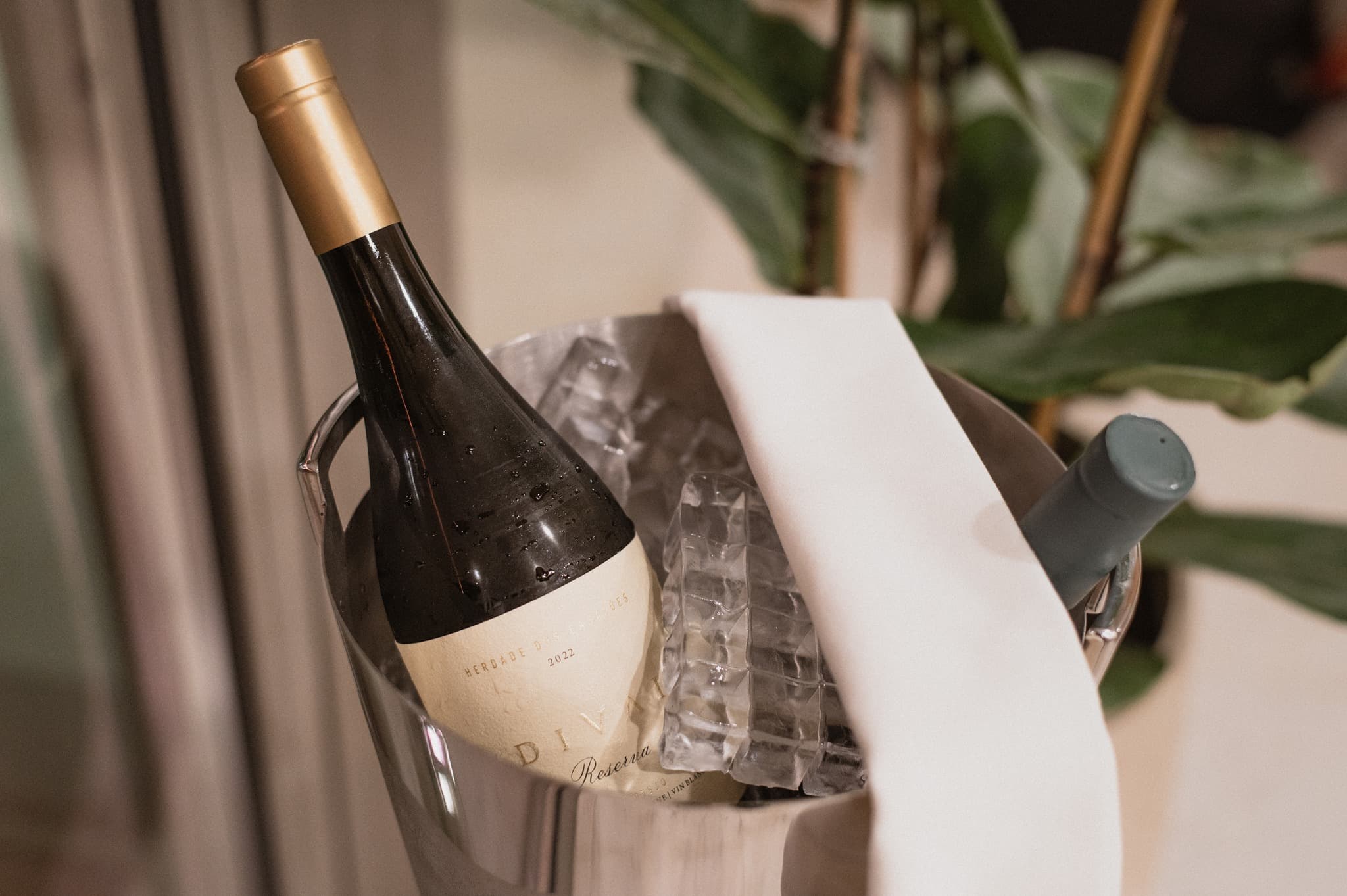 Wine & Dine Experience